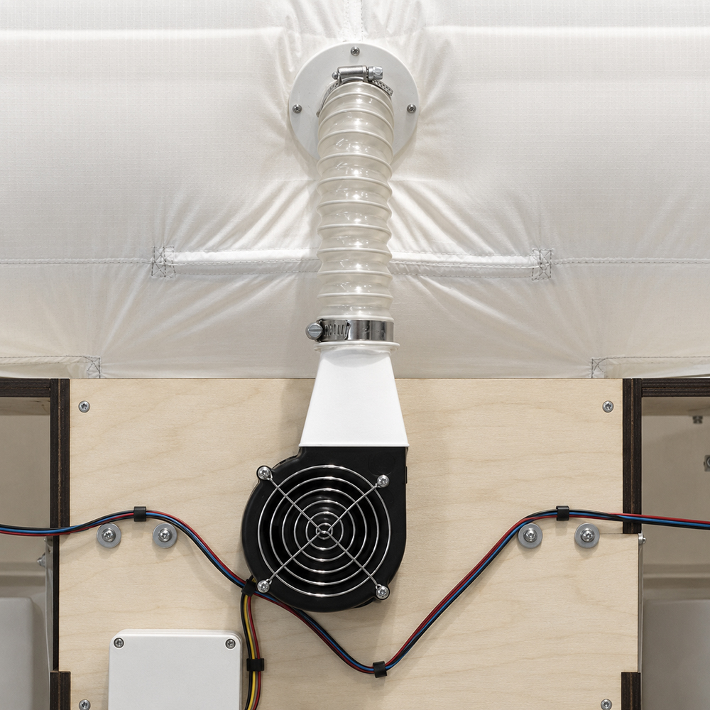 Fan