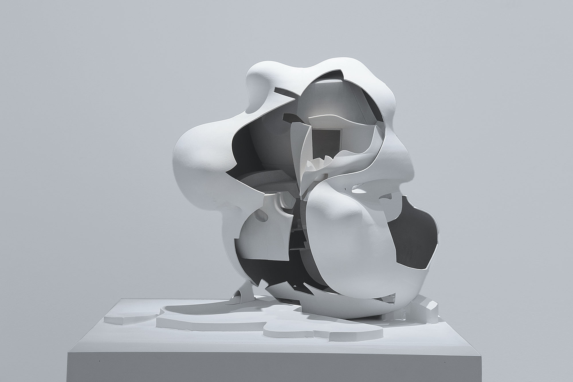 Twisted Torus