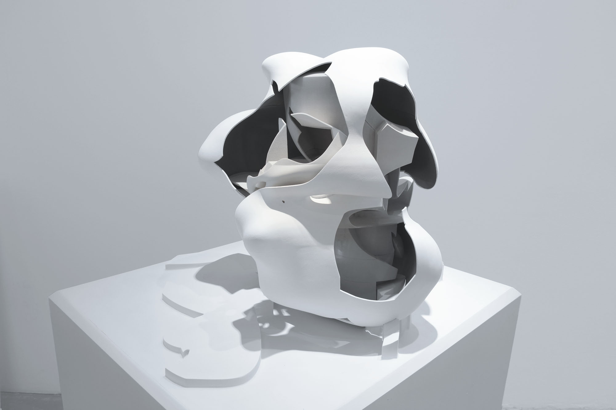 Twisted Torus