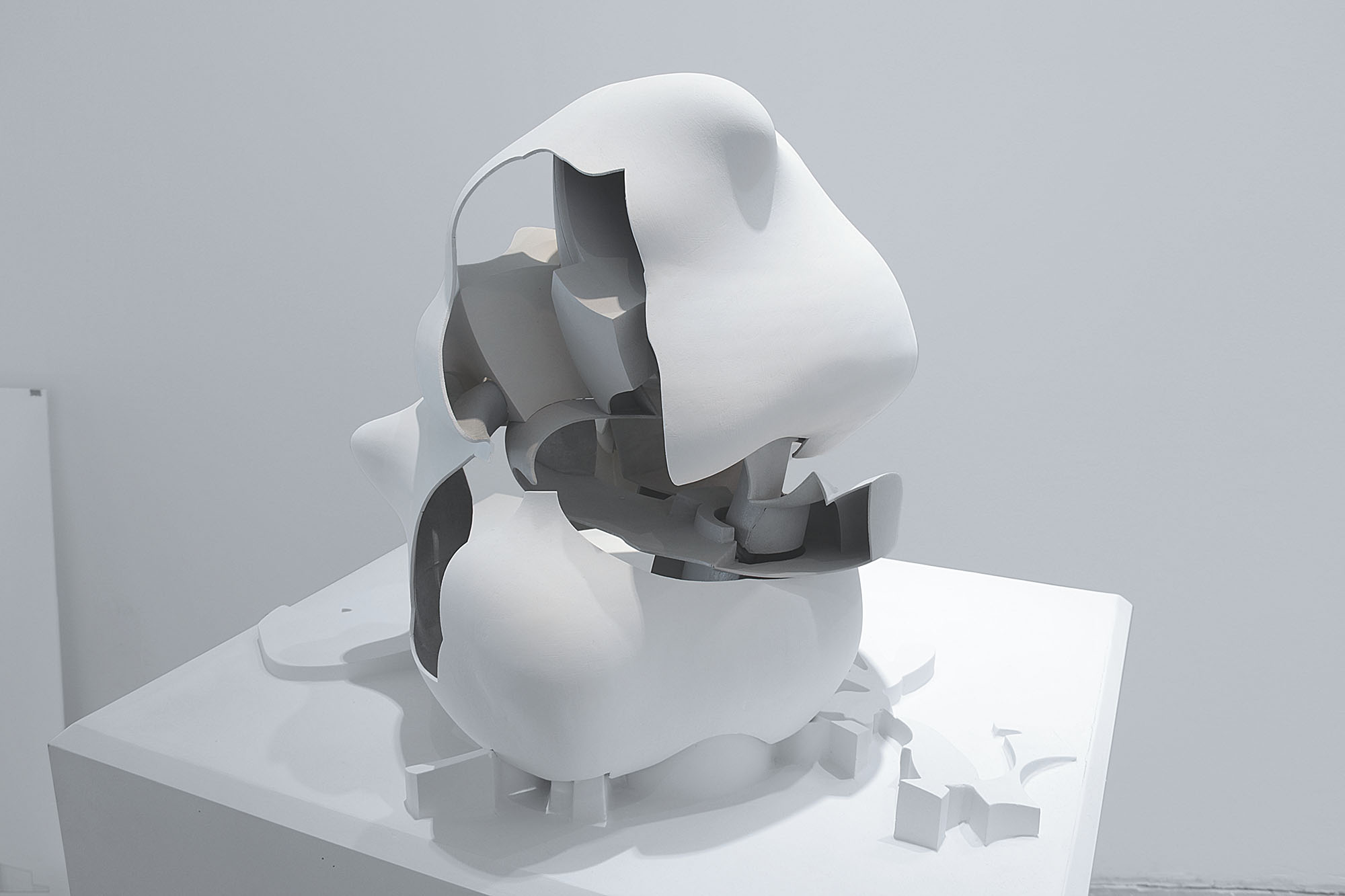 Twisted Torus