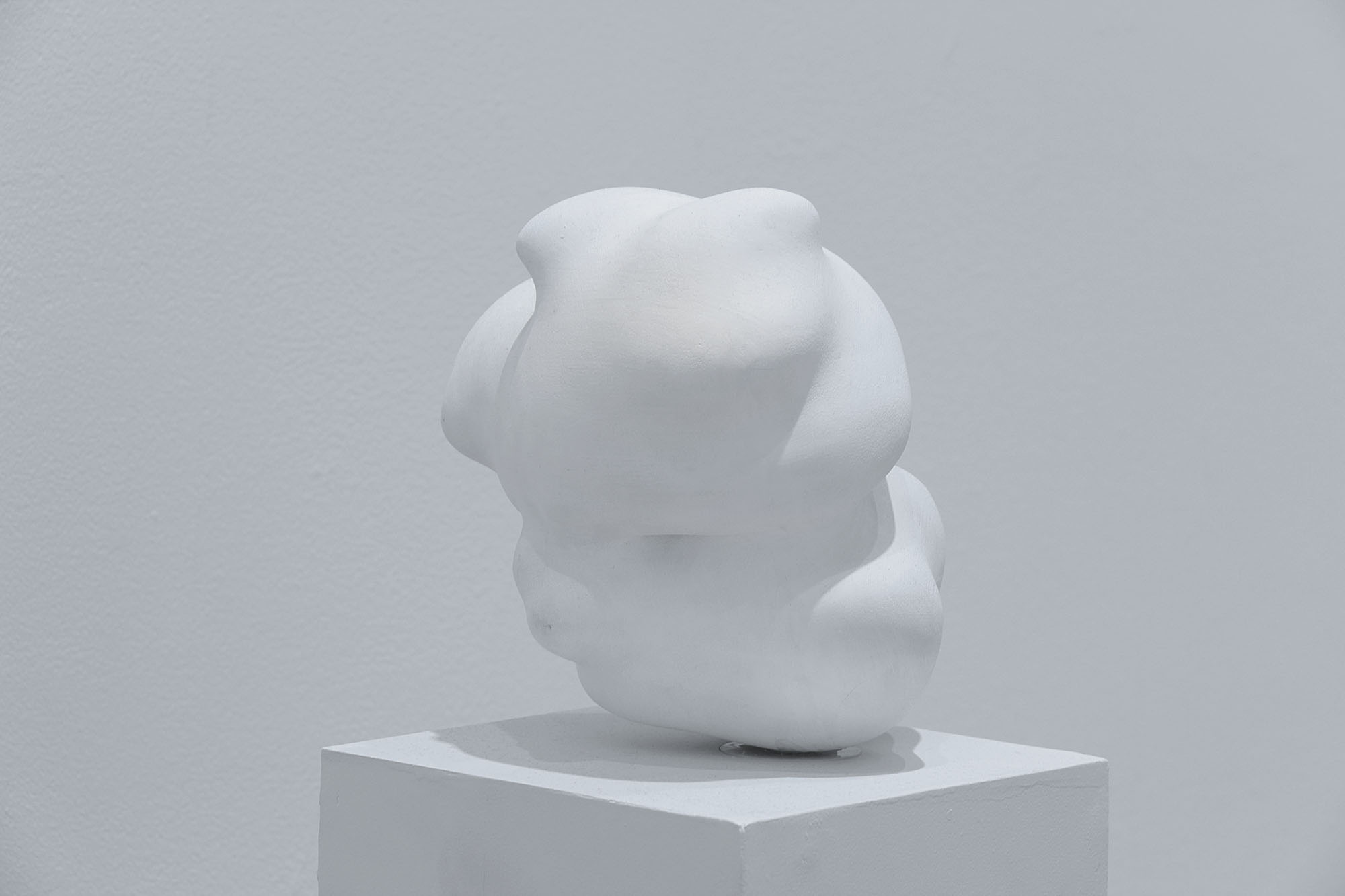 Twisted Torus, smaller sculpture